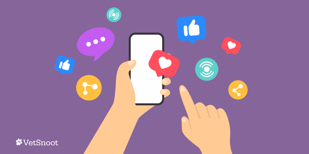 VetSnoot Cell Phone Policy Landing Page Header